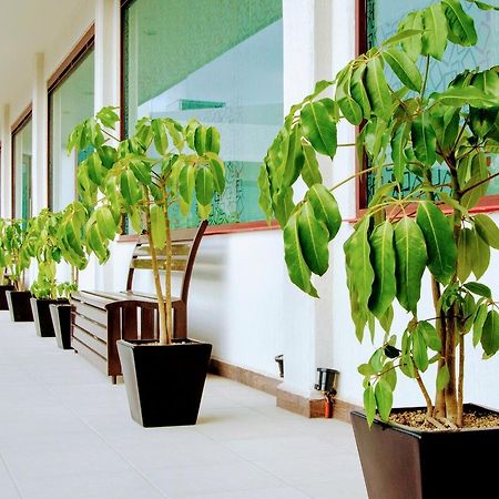 Hotel Boutique Luxury Pachuca Ngoại thất bức ảnh