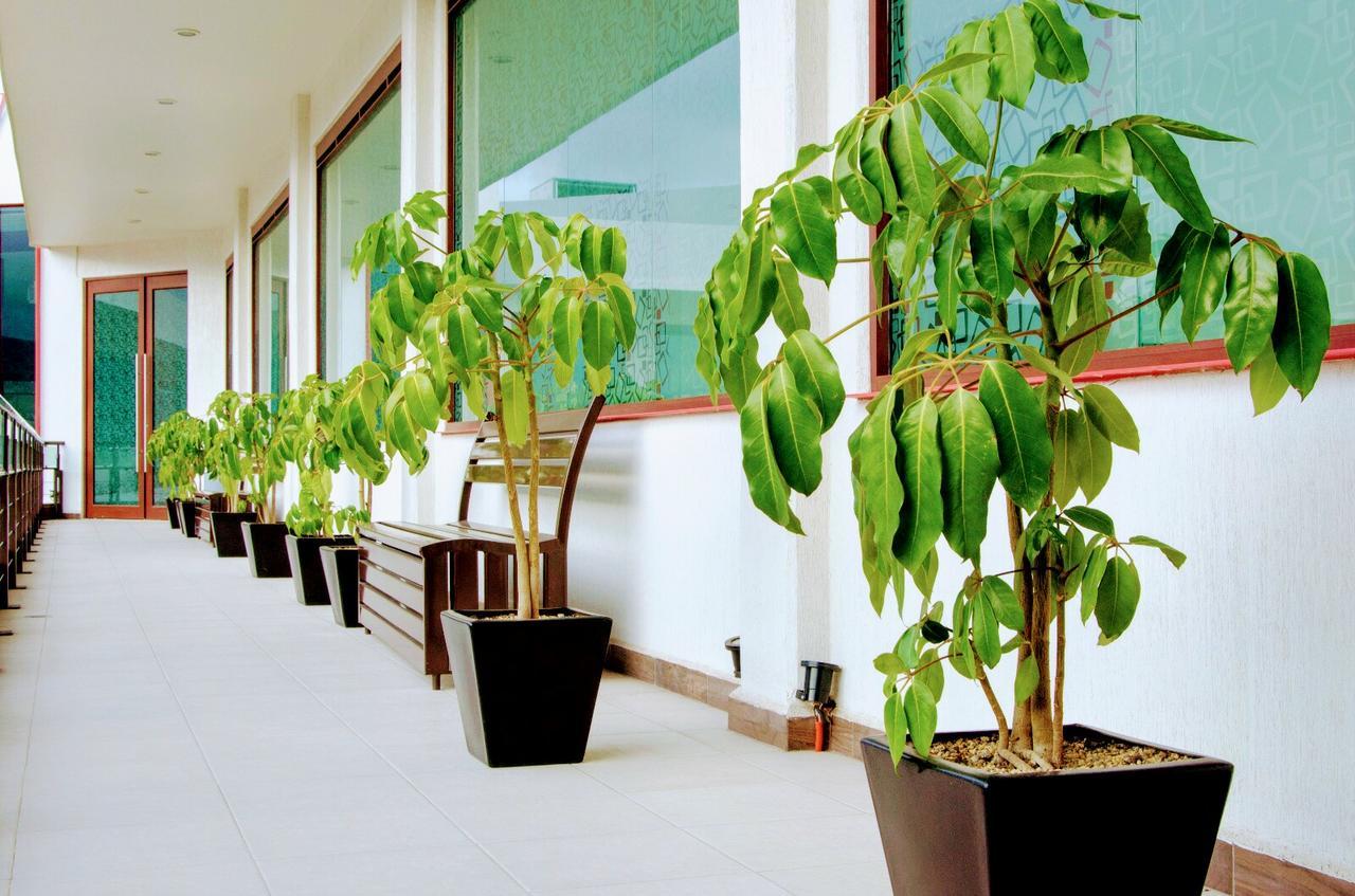 Hotel Boutique Luxury Pachuca Ngoại thất bức ảnh